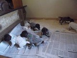 Fotos em 29 de novembro