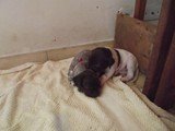 Fotos em 29 de novembro