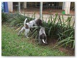 Fotos em 22/dezembro