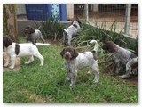 Fotos em 22/dezembro