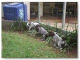 Fotos em 22/dezembro