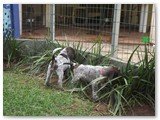 Fotos em 22/dezembro